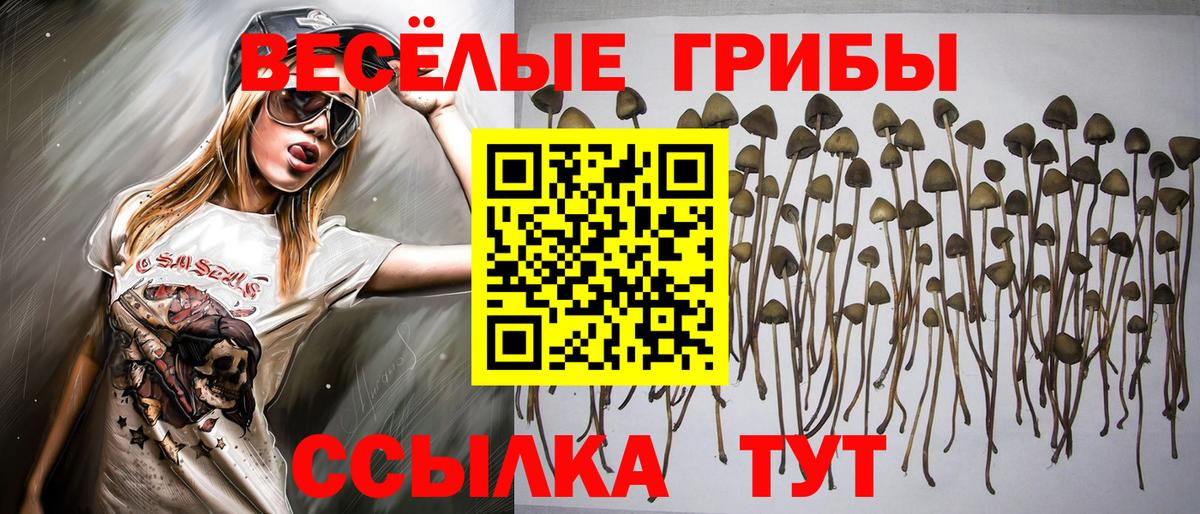 Галлюциногенные грибы Magic Shrooms Киржач