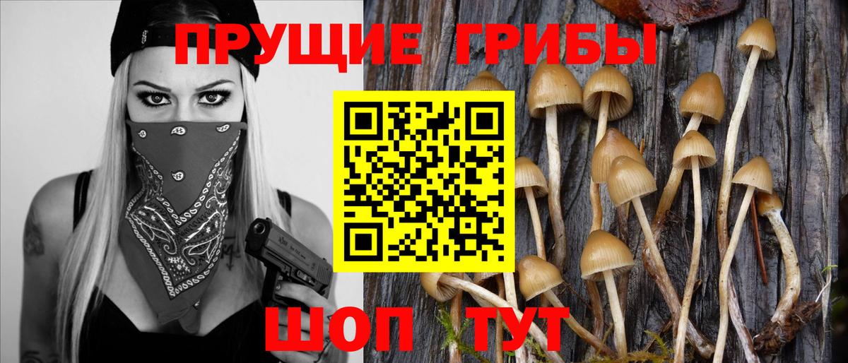 что такое наркотик  Галлюциногенные грибы ЛСД  Вход с VPN  Киржач  Псилоцибиновые грибы ЛСД 